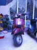 2004�N12��31���i���j