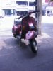 2004�N12��31���i���j