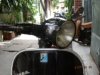 2007�N10��5���i���j