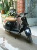 2008�N1��19���i�y�j