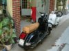 2008�N1��19���i�y�j