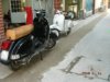 2008�N1��19���i�y�j
