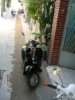 2008�N1��19���i�y�j