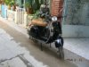 2008�N1��19���i�y�j