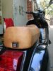 2008�N1��19���i�y�j