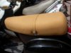 2009�N3��5���i�؁j