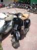 2009�N3��5���i�؁j