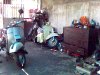 2005�N�B�e���s��
