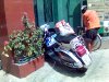 2005�N�B�e���s��