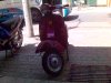 2005�N�B�e���s��