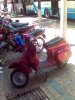 2005�N�B�e���s��