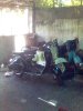2005�N�B�e���s��