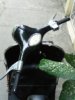 2007�N12��18���i�h���O�j