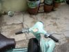 2008�N7��6���i���j