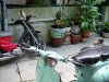 2008�N9��4���i�؁j