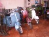 2005�N11��27��