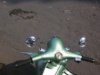 2004�N11��7���@�F�l��Vespa 50S