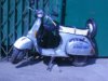 2005�N2��6��