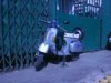 2005�N2��6��