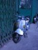 2005�N2��6��