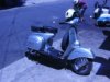 2005�N6��5���i���j