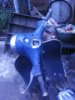 2005�N6��18���i�y�j