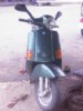 2005�N6��19���i���j