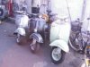������Sprint / Super /Standar