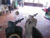 2006�N2��3���i���j