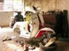 2006�N2��23���i�؁j