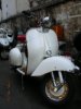 2007�N1��28���i���j