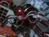2008�N1��19���i�y�j