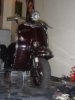 2008�N1��1��20���i���j