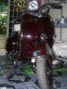 2008�N1��26���i�y�j