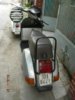 2008�N1��29���i�΁j