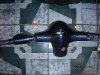 2008�N2��26���i�΁j