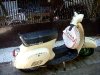 2008�N8��28���i�؁j