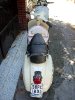 2008�N8��28���i�؁j