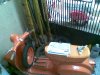 2008�N8��30���i�y�j