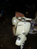 2010�N1��19���i�΁j