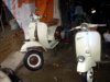 2010�N1��19���i�΁j