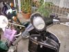 2010�N2��11���i�؁j