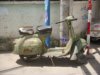 2010�N8��5���i�؁j 
