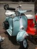 2010�N8��7���i�y�j 