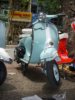 2010�N8��7���i�y�j 