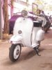 2004�N5��30��(���j�i���X�g�A��j